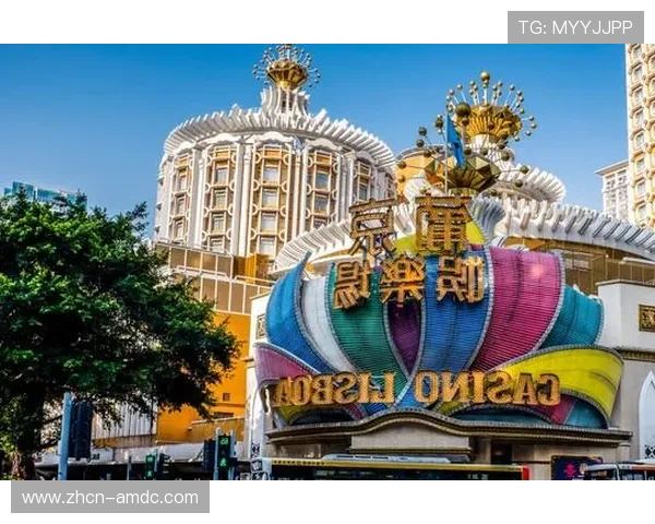 如何在葡京娱乐场完成注册流程确保账号安全与顺利登录